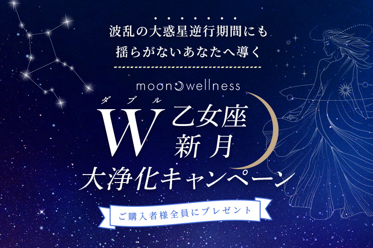 大浄化キャンペーン