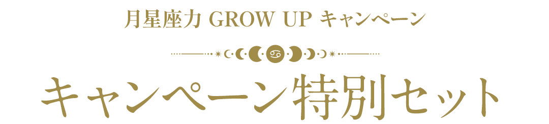 キャンペーン特別セット